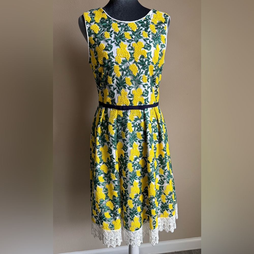 Draper James Mimosa Yellow 3D Embroidered Floral Dress Size 6